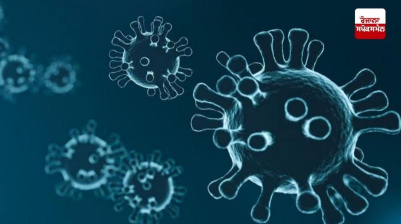 Corona Virus India Update News Corona Virus India Update News