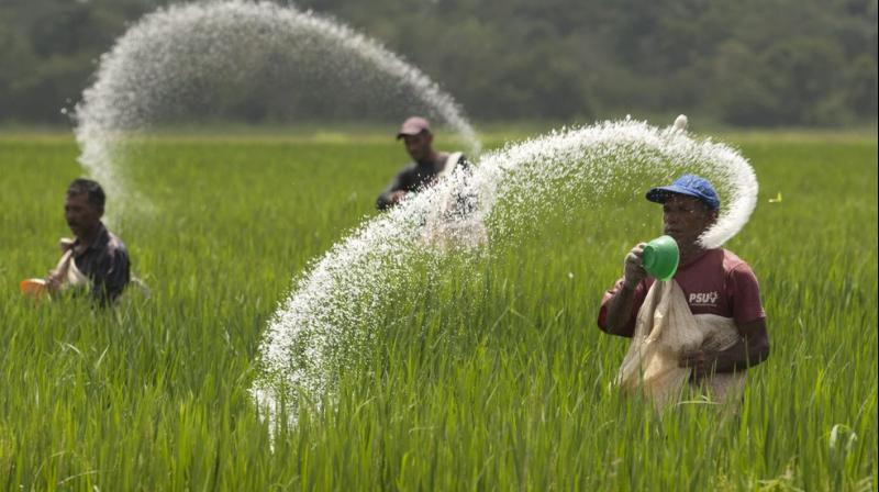 Fertilizer Fertilizer