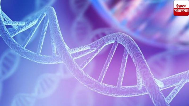 Child swap case: DNA report will tell whose son it is Child swap case: DNA report will tell whose son it is