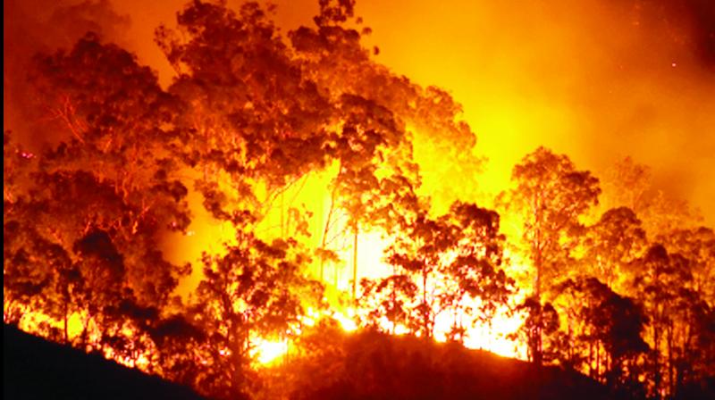 Fire in Australia Fire in Australia