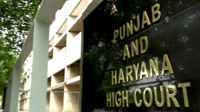 Punjab & Haryana High Court Punjab & Haryana High Court