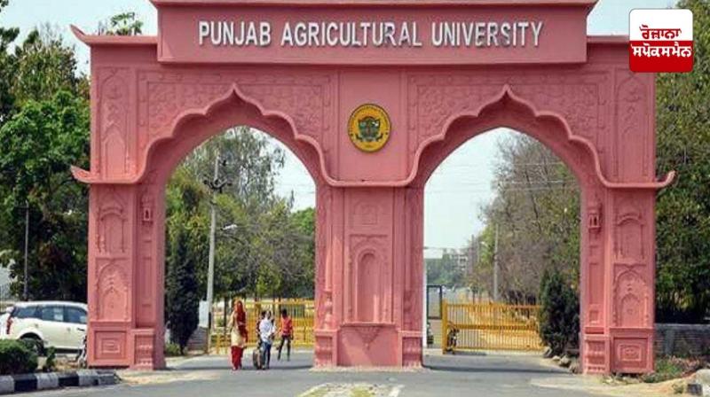 Punjab Agricultural University Punjab Agricultural University
