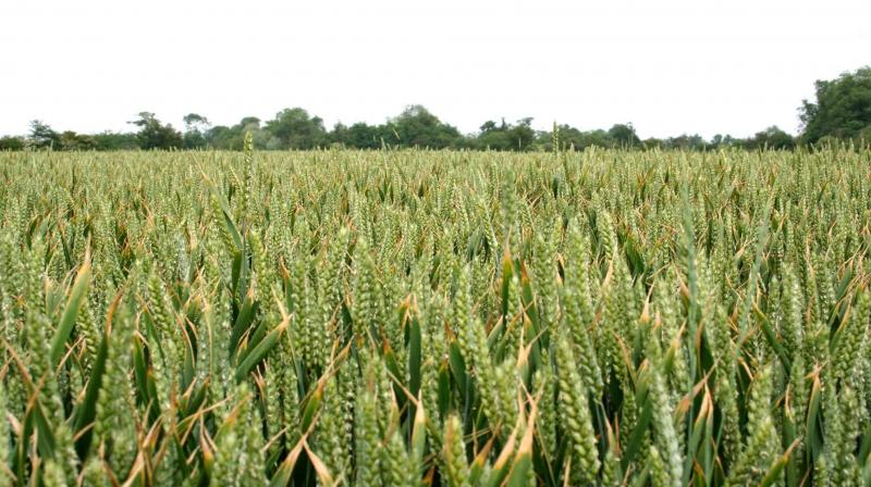 Big news for farmers, farming has become easy Big news for farmers, farming has become easy