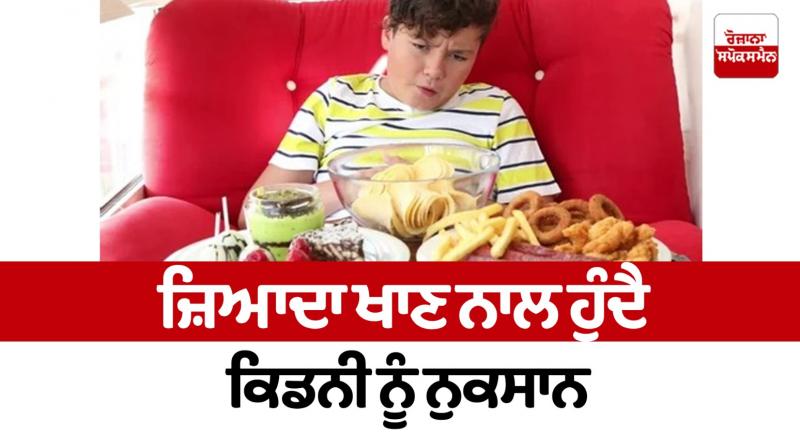 Eating too much causes kidney damage Eating too much causes kidney damage