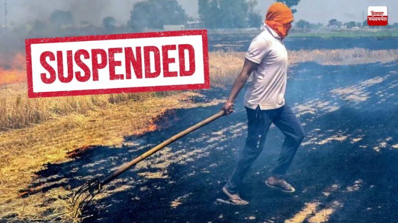 24 officers and employees suspended in Haryana News 24 officers and employees suspended in Haryana News