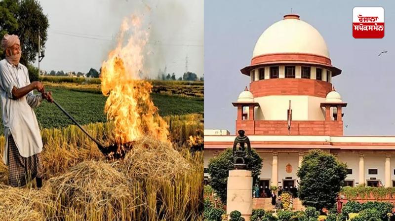 The Supreme Court reprimanded the Punjab government in the straw case News The Supreme Court reprimanded the Punjab government in the straw case News