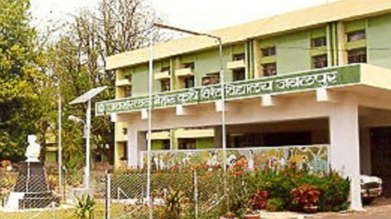 Jawaharlal Nehru Krishi Vishwa Vidyalaya, Jabalpur Jawaharlal Nehru Krishi Vishwa Vidyalaya, Jabalpur