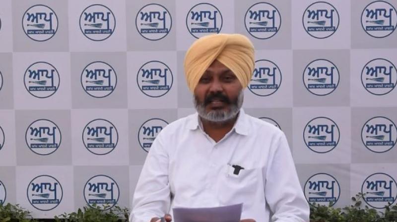 Harpal Cheema Harpal Cheema