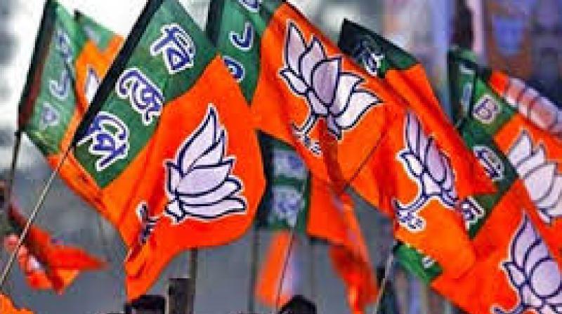 bjp flag bjp flag