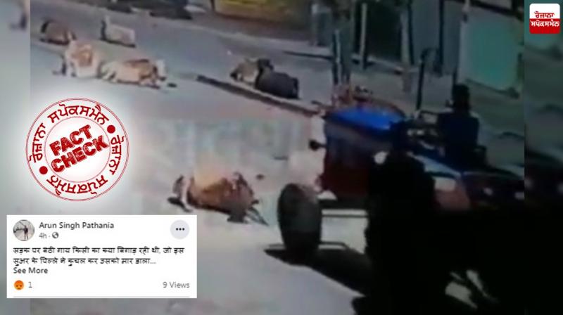 Fact Check: communal angle being given to the incident of killing a cow with tractor Fact Check: communal angle being given to the incident of killing a cow with tractor