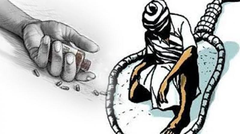 Farmer Suicides Farmer Suicides