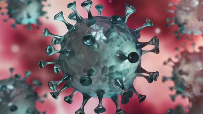 Corona Virus Corona Virus