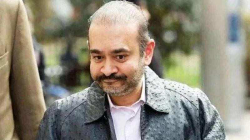 NIrav Modi NIrav Modi
