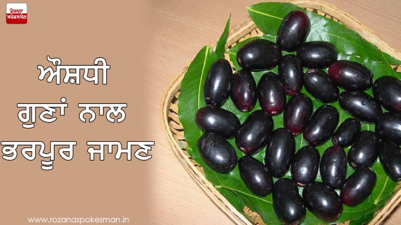 Black Plum Black Plum