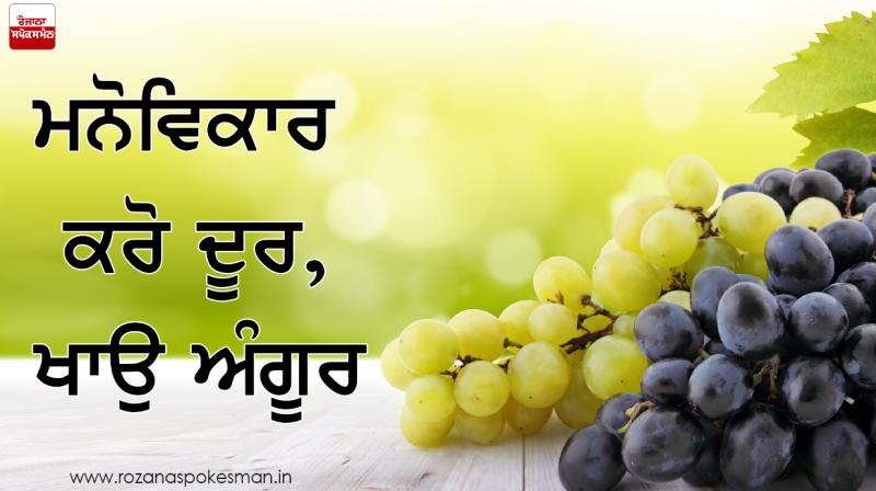 Mind-tensions will go away by eating grapes 