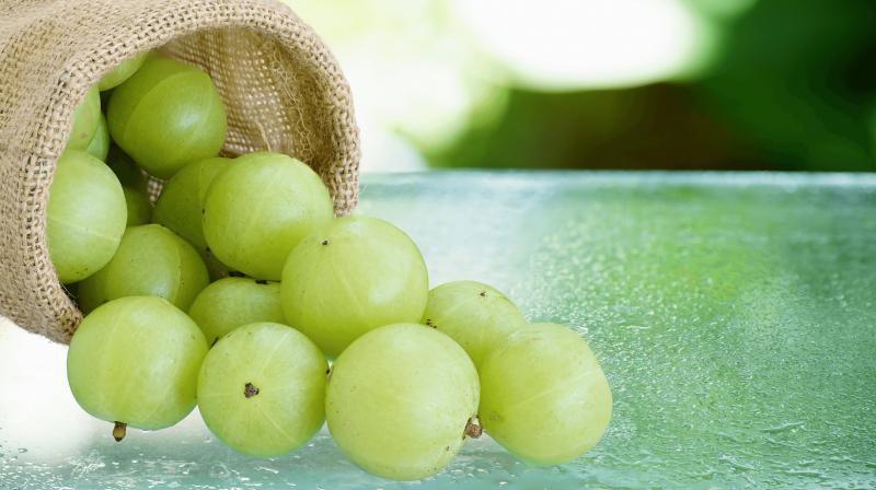 Amla is a panacea for health, know five miraculous benefits of consuming it in winter