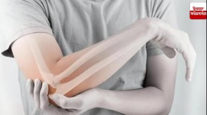 How to strengthen bones, let's know How to strengthen bones, let's know