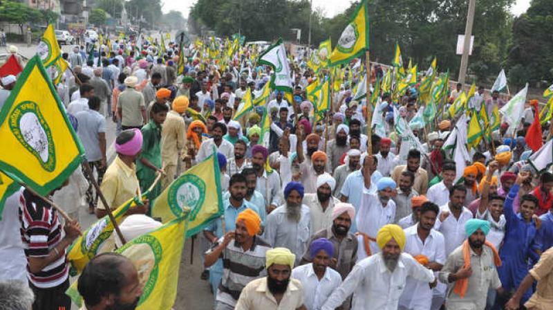 Farmer Protest Farmer Protest