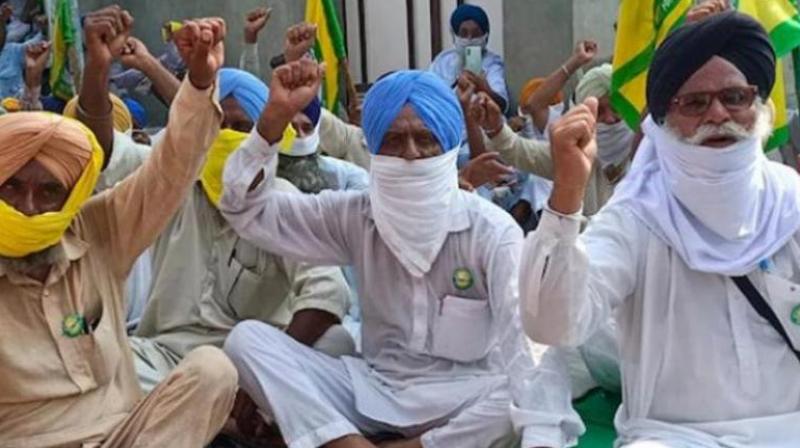 Farmers Protest Farmers Protest