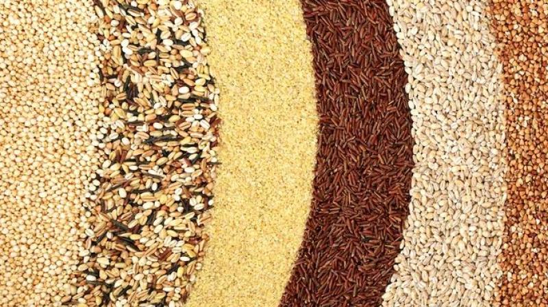 ਵੱਖੋ–ਵੱਖਰੇ ਅਨਾਜ। ਵੱਖੋ–ਵੱਖਰੇ ਅਨਾਜ।