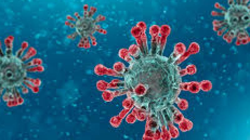 CORONA VIRUS CORONA VIRUS