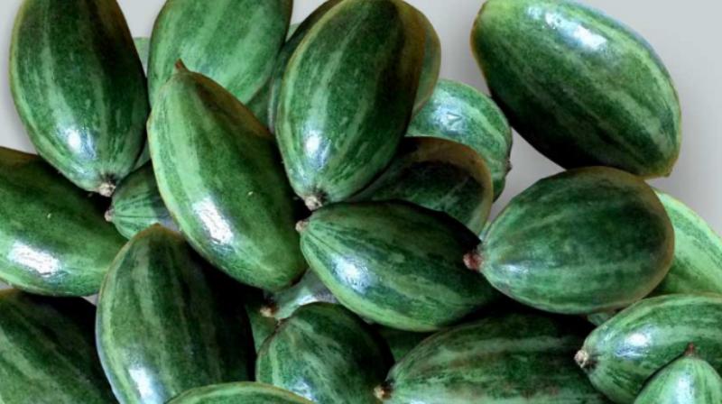 Parval is beneficial for health Parval is beneficial for health
