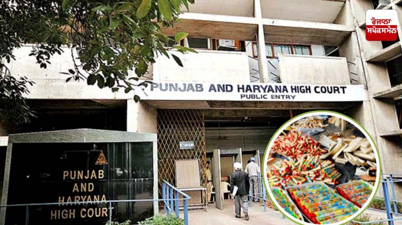 High Court refuses to interfere in petition challenging ban on sale of green firecrackers High Court refuses to interfere in petition challenging ban on sale of green firecrackers