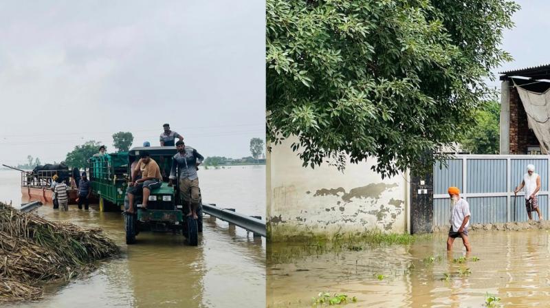 Punjab Weather Update News in punjabi Punjab Weather Update News in punjabi