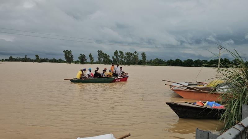 Punjab Flood Situation news in punjabi Punjab Flood Situation news in punjabi
