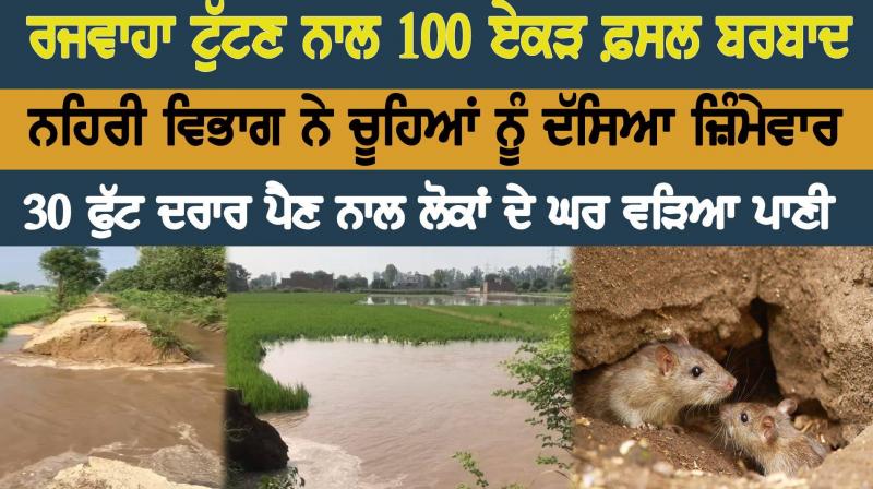 Mansa dams crops farmers