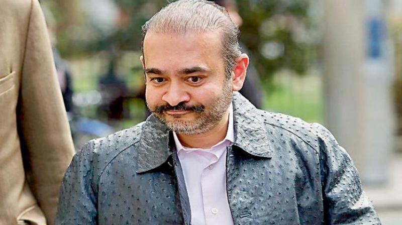 nirav modi 