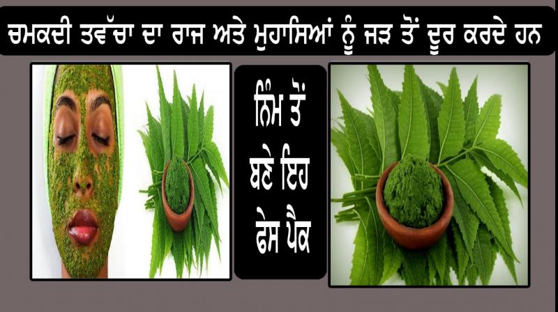 Neem face packs