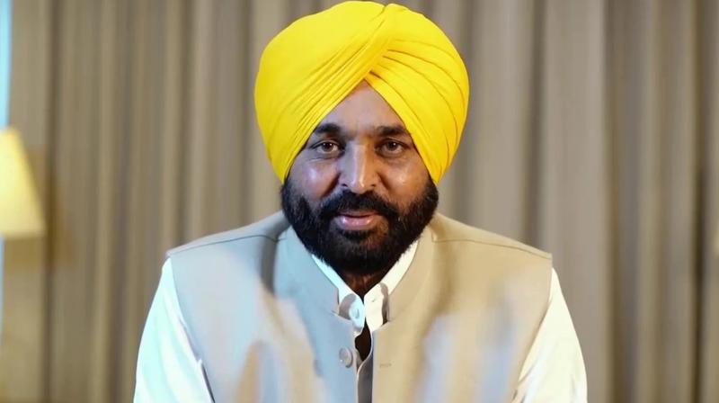 CM Bhagwant Mann (file photo)