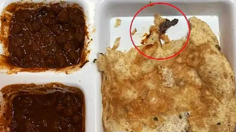 Cockroach food came out of the restaurant located in Elante, customer complained