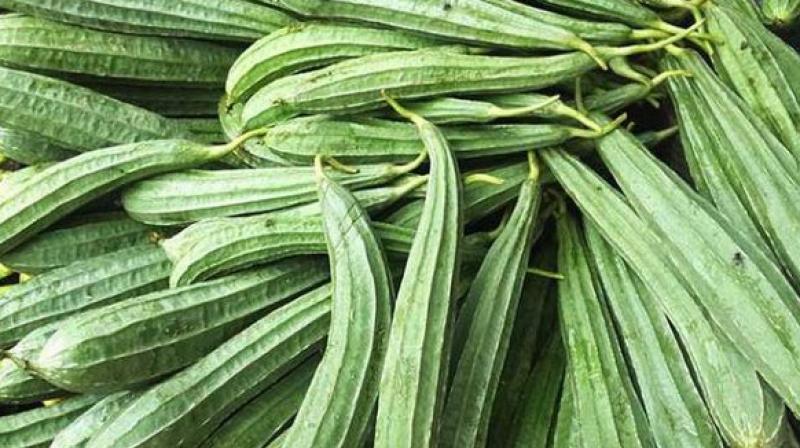 Luffa is useful in summer Luffa is useful in summer