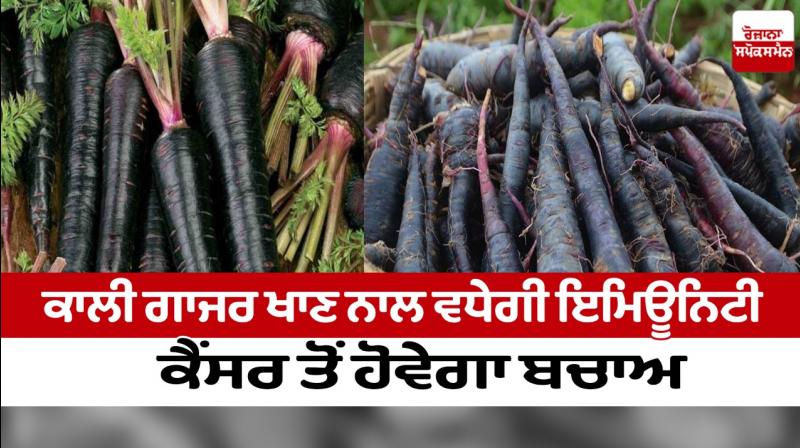 Black carrot Black carrot
