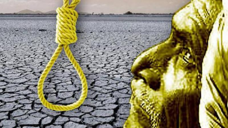Farmer Suicide Farmer Suicide