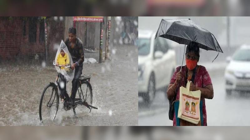 Rain in punjab 
