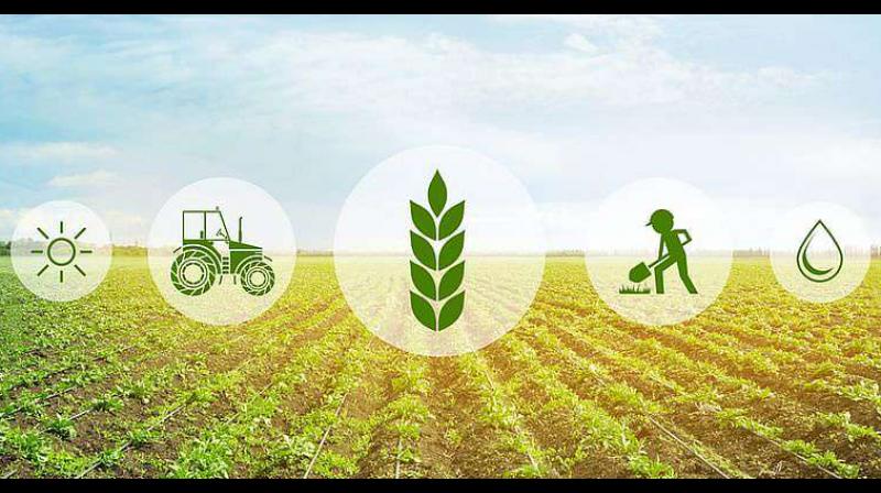 Govt to spend Rs 11.85 cr for funding 112 agri startups this year