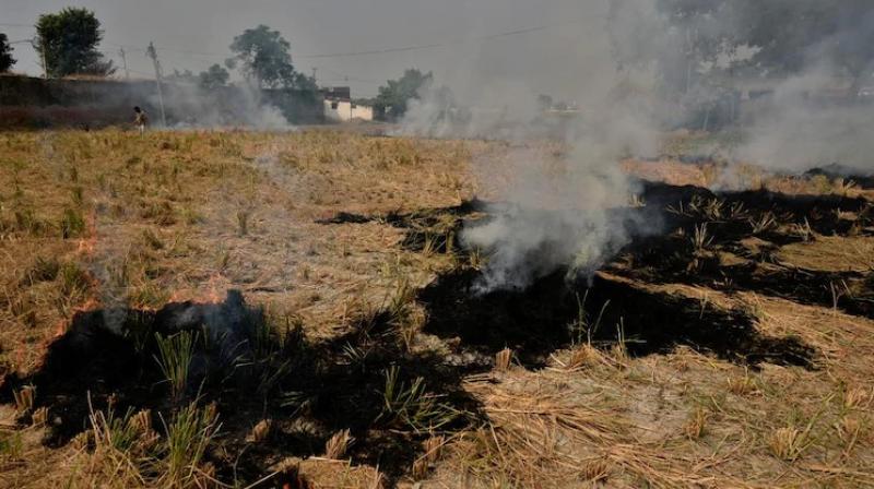 Stubble burning Stubble burning