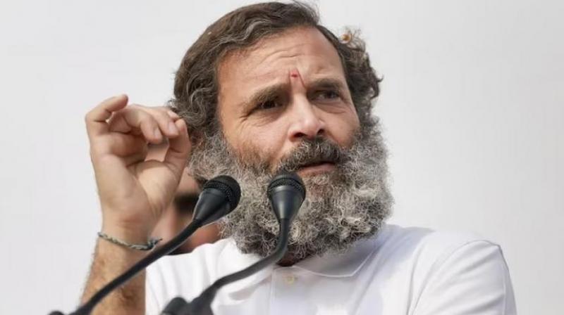 Rahul Gandhi Rahul Gandhi