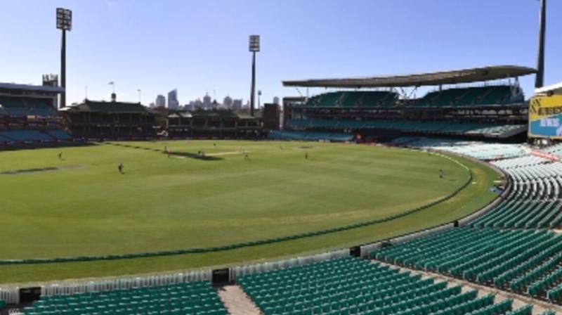 Cricket Cricket