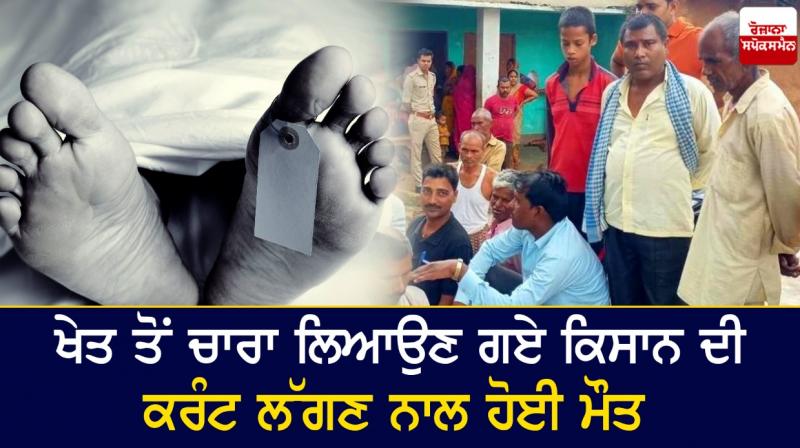 A farmer who went to fetch fodder from the field died due to electrocution A farmer who went to fetch fodder from the field died due to electrocution