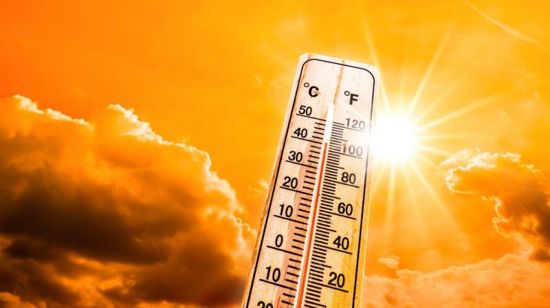 Heat wave claims 5 lives in Rajasthan