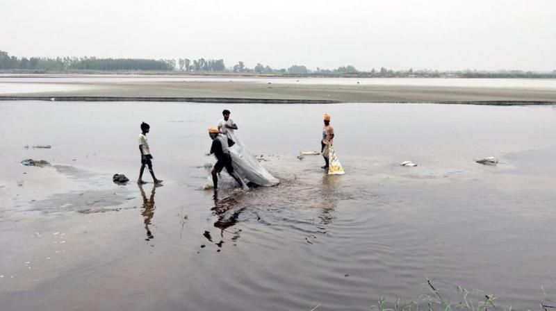 beas river