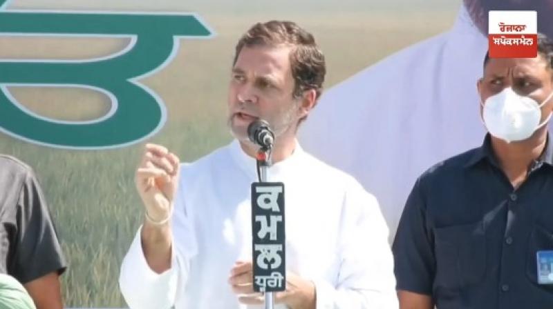 Rahul Gandhi Rahul Gandhi