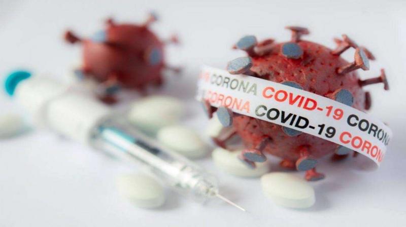 Corona Virus Corona Virus