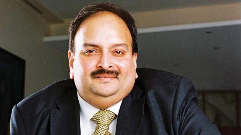 Mehul Choksi