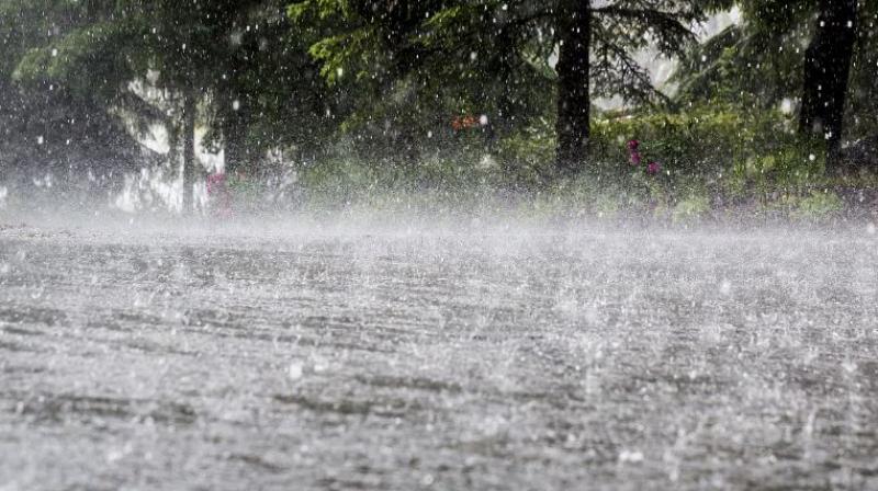 Rain Rain