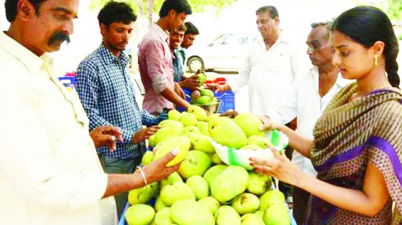 Mango Become Costlier